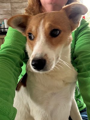 Img 2025 10 17 080656