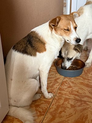 Img 2025 10 17 080721