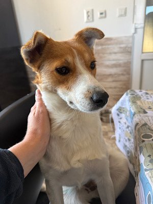 Img 2025 10 17 080747