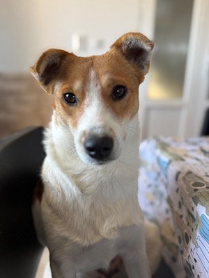 Img 2025 10 17 080812