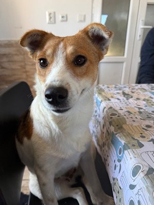 Img 2025 10 17 080900