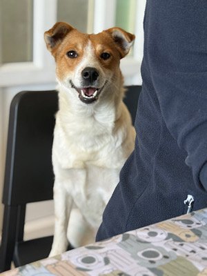 Img 2025 10 17 080949