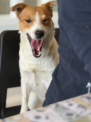 Img 2025 10 17 081012