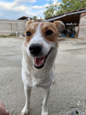 Img 2025 10 17 081032