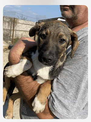 Poldi (BV) Poldi (BV)