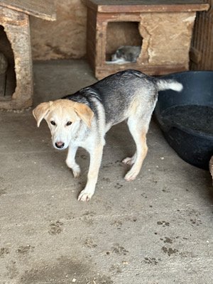 Img 2025 10 23 063251