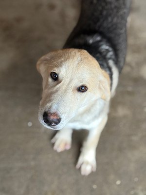 Img 2025 10 23 063313