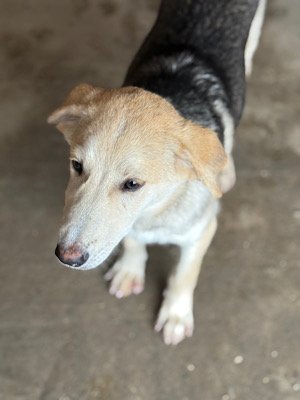 Img 2025 10 23 063402