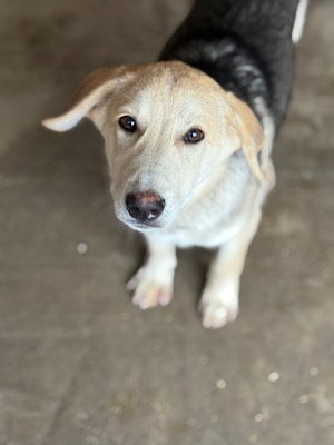 Img 2025 10 23 063422