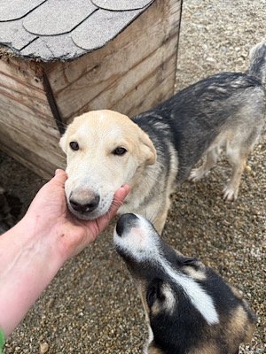 Img 2025 10 23 063512