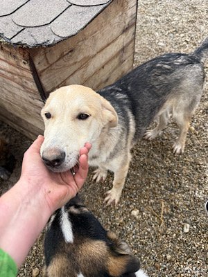 Img 2025 10 23 063547