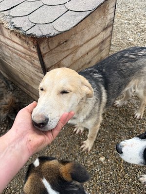 Img 2025 10 23 063609