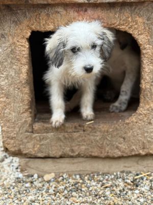 Whatsapp bild 2025 10 06 um 19.27.44 009adff0