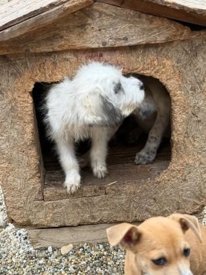 Whatsapp bild 2025 10 06 um 19.27.44 01919e71