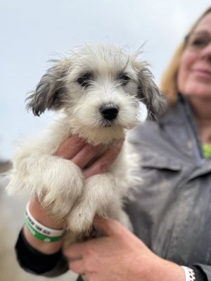 Whatsapp bild 2025 10 06 um 19.27.45 0fafe4ca