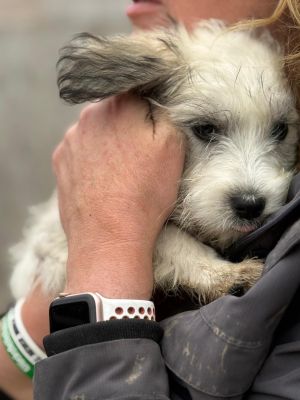 Whatsapp bild 2025 10 06 um 19.27.45 2884345f