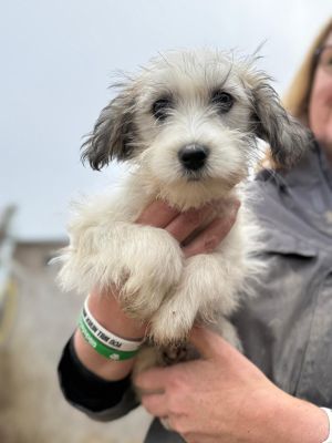 Whatsapp bild 2025 10 06 um 19.27.45 39ec1c45