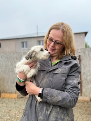 Whatsapp bild 2025 10 06 um 19.27.45 681b6c7f