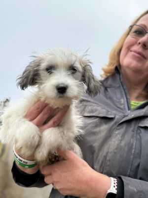 Whatsapp bild 2025 10 06 um 19.27.45 bdcefed6