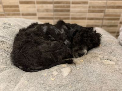 Whatsapp bild 2025 10 08 um 07.40.06 b46f3fb3