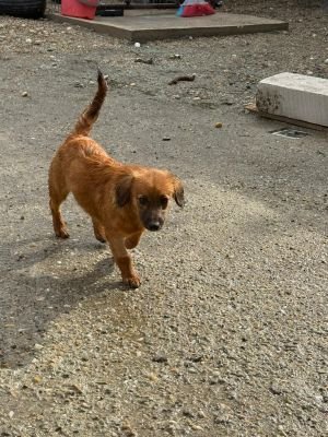 Whatsapp bild 2025 10 09 um 10.05.48 8984617b