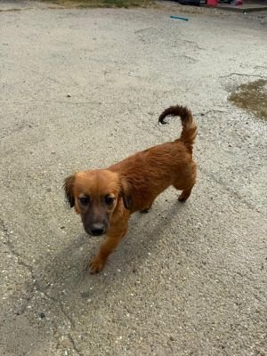 Whatsapp bild 2025 10 09 um 10.05.49 74465bec