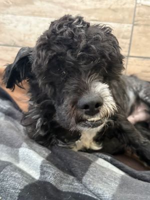 Whatsapp bild 2025 10 09 um 13.11.57 1017853f