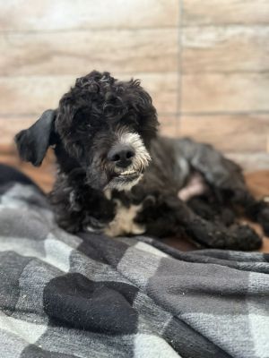 Whatsapp bild 2025 10 09 um 13.11.57 e6ddd802