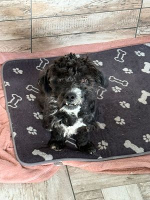 Whatsapp bild 2025 10 11 um 10.49.38 a1c9d162