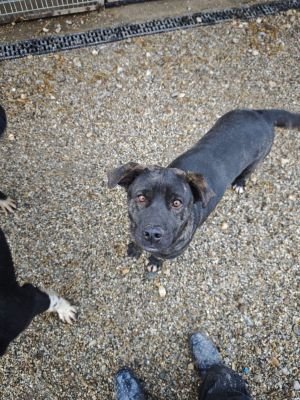 WhatsApp Bild 2025 11 20 um 18.17.57 fce833a3