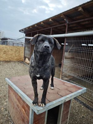 WhatsApp Bild 2025 11 20 um 18.17.58 cd0e95dd