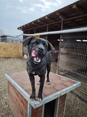 WhatsApp Bild 2025 11 20 um 18.17.58 fea4c790