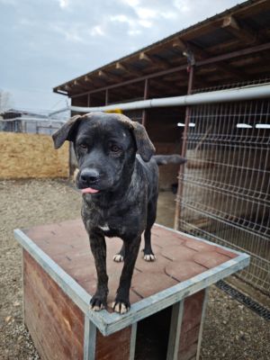 WhatsApp Bild 2025 11 20 um 18.17.59 206133ad