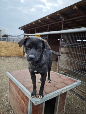 WhatsApp Bild 2025 11 20 um 18.17.59