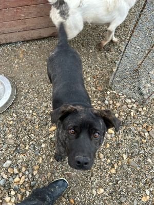 WhatsApp Bild 2025 11 20 um 18.18.56 1b6f392d