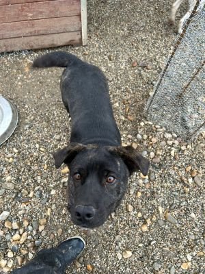 WhatsApp Bild 2025 11 20 um 18.18.56 2264f932