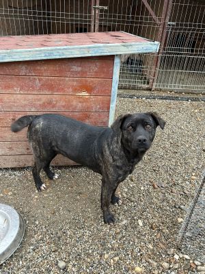 WhatsApp Bild 2025 11 20 um 18.18.57 2789e97e