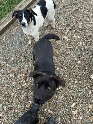 WhatsApp Bild 2025 11 20 um 18.18.57 2abaff9a