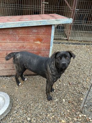 WhatsApp Bild 2025 11 20 um 18.18.57 ea177a55