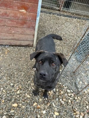 WhatsApp Bild 2025 11 20 um 18.18.58 4c456bf3