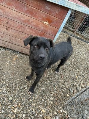 WhatsApp Bild 2025 11 20 um 18.18.58 6936690d