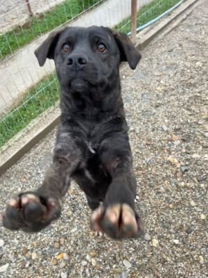 WhatsApp Bild 2025 11 20 um 18.18.58 84181a87