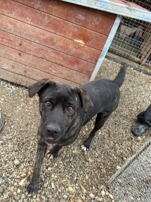 WhatsApp Bild 2025 11 20 um 18.18.59 23fb3c7c