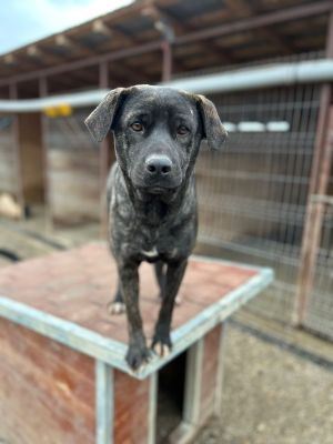 WhatsApp Bild 2025 11 20 um 18.18.59 74dacb34