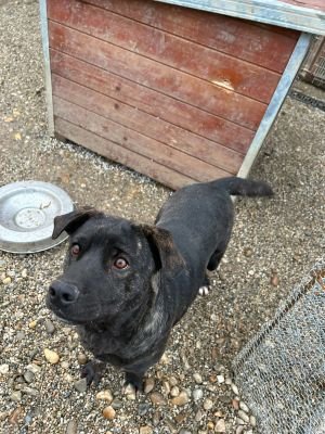 WhatsApp Bild 2025 11 20 um 18.18.59 ba880ec6