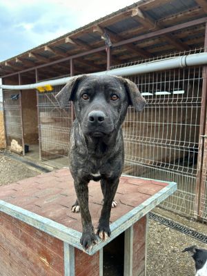 WhatsApp Bild 2025 11 20 um 18.19.03 4bfceca7