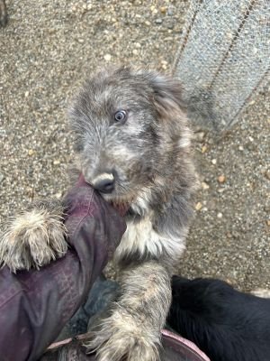 WhatsApp Bild 2025 11 21 um 17.08.11 8bf67de5