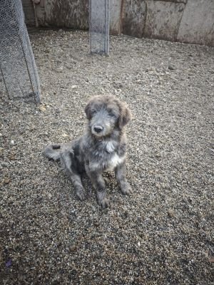 WhatsApp Bild 2025 11 21 um 17.08.40 a540b448