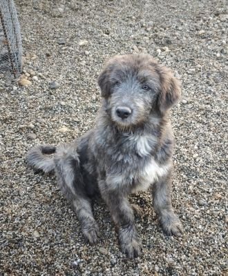 WhatsApp Bild 2025 11 21 um 17.08.40 a96a682f