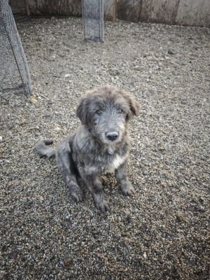 WhatsApp Bild 2025 11 21 um 17.08.40 adc44fb2